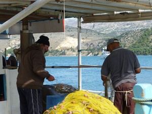 09.Fish buying